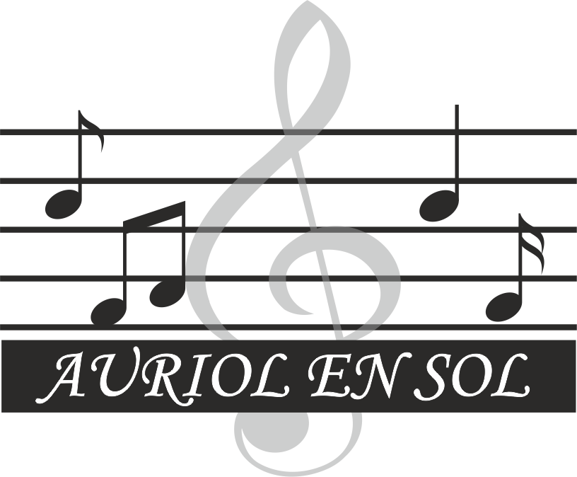 Cours individuel de Violon, École de Musique à Auriol